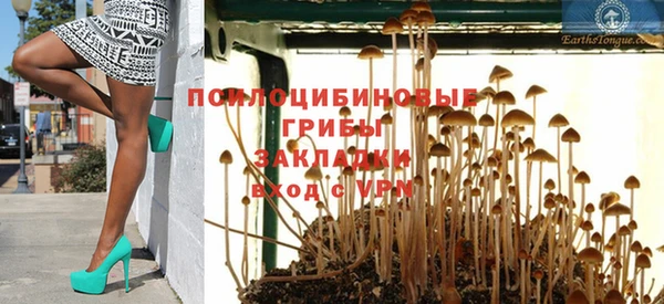 прущая мука Армянск