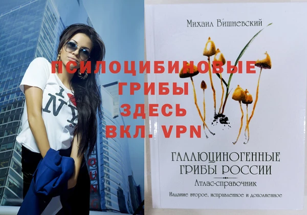 молекула духа Аркадак