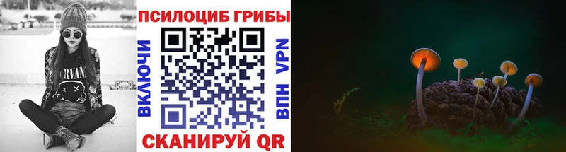 Галлюциногенные грибы мухоморы  мориарти наркотические препараты  Протвино 